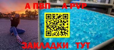 СК Тара