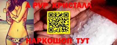СК Тара
